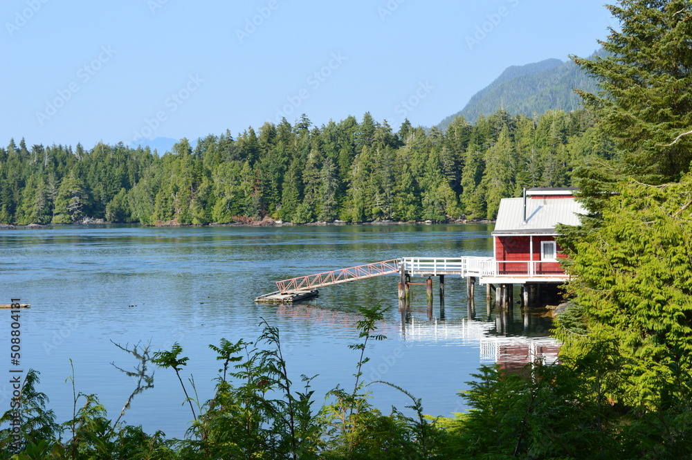 Fototapeta premium Tofino