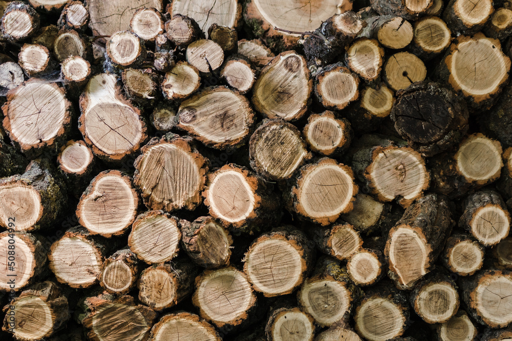 The face of the deck was folded. Deforestation in Europe. Winter season. Logging for heating. Wooden logs texture The face of the deck was folded. Deforestation in Europe. Winter season. Logging for heating. Wooden logs texture