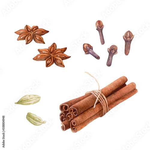 Watercolor cinnamon sticks, cardamon, cloves, anise isolated.