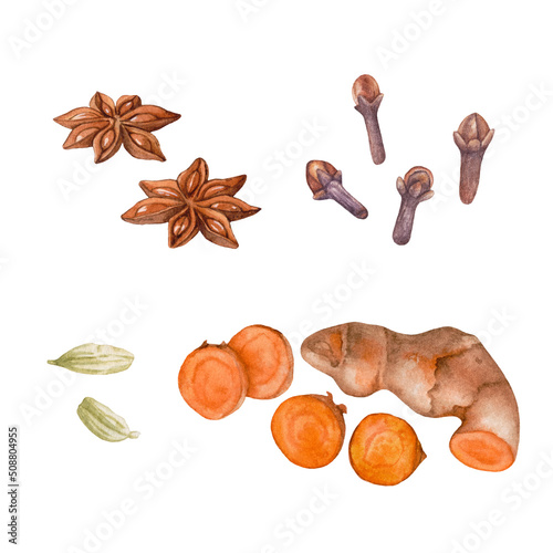 Watercolor spices isolated on white background. Turmeric, anise, cloves, cardamon.