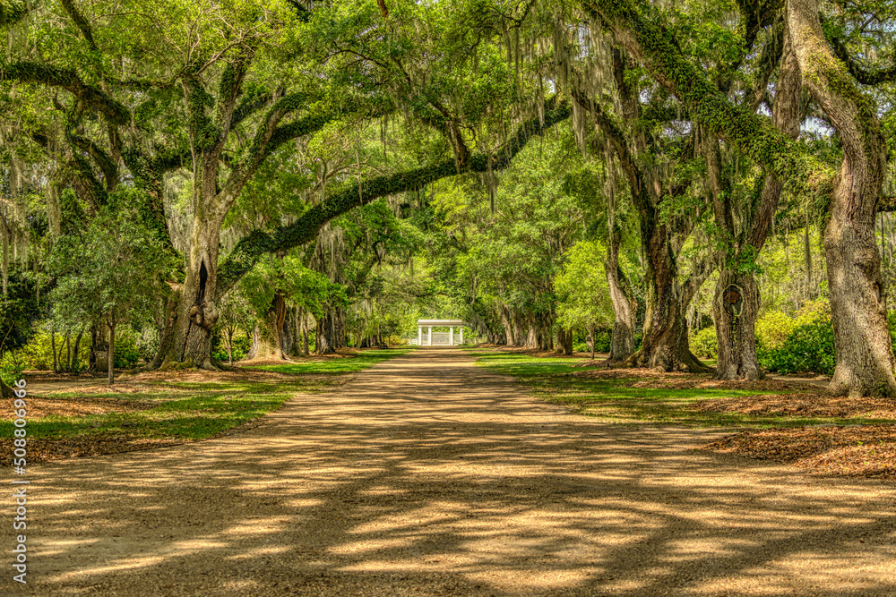 Rosedown Plantation, St Francisville Louisiana