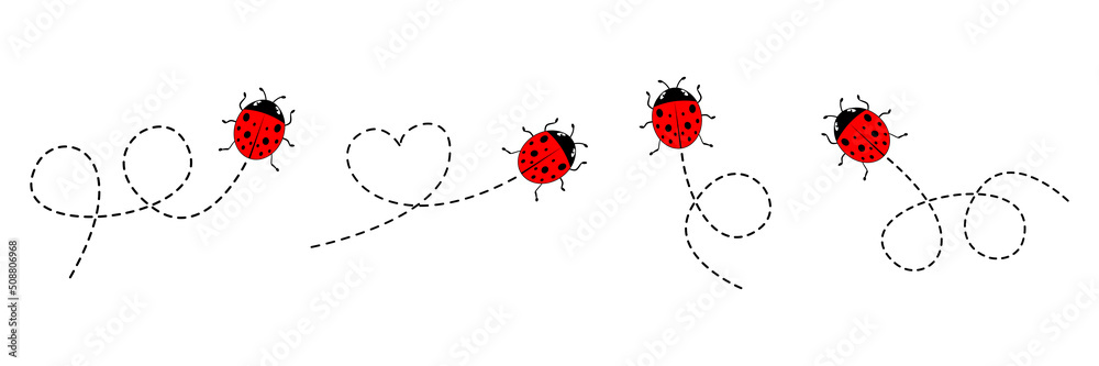 Fototapeta premium Ladybug set. Ladybirds flying on dotted route. Vector isolated on white.