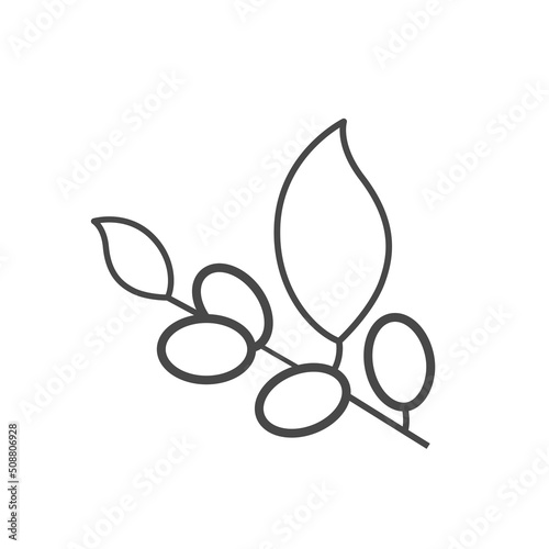 Vector linear icon with olives