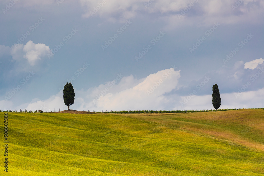 Fototapeta premium Tuscany landscape