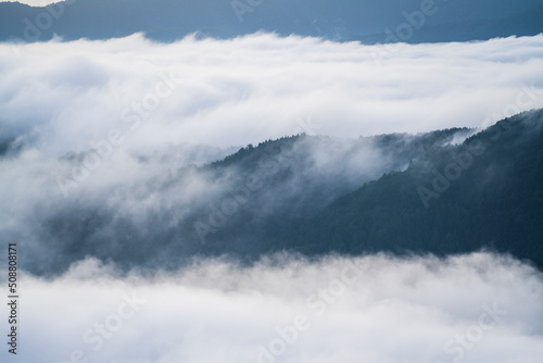 Fototapeta Naklejka Na Ścianę i Meble -  広島市安佐北区荒谷山から見える雲海