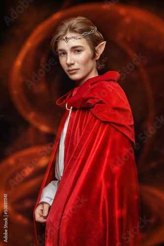 majestic elf prince photo