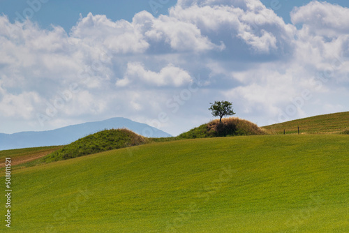 Tuscany landscape