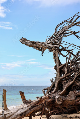 Abstract dry dead tree on the beach with blue sky and turquoise sea background at Kradan island  Trang  Southern Thailand.
