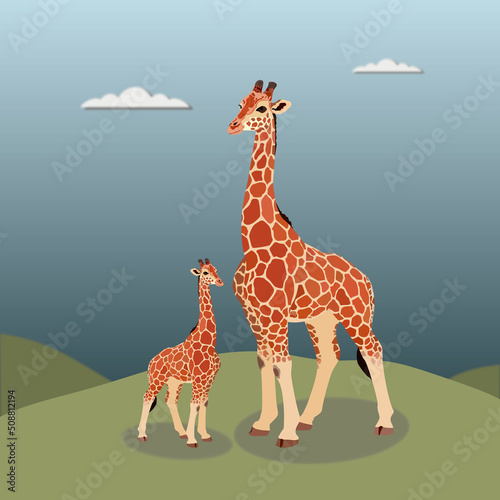 Giraffe with calf