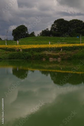池に映る田舎の風景 © Enriqecido