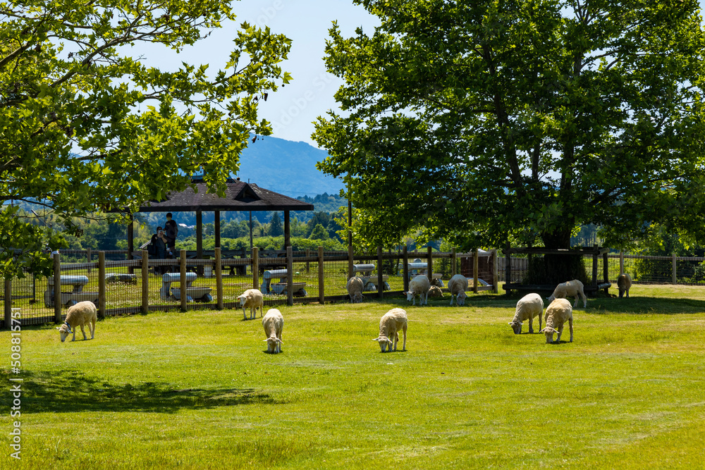 Obraz premium 滋賀県畜産技術振興センター