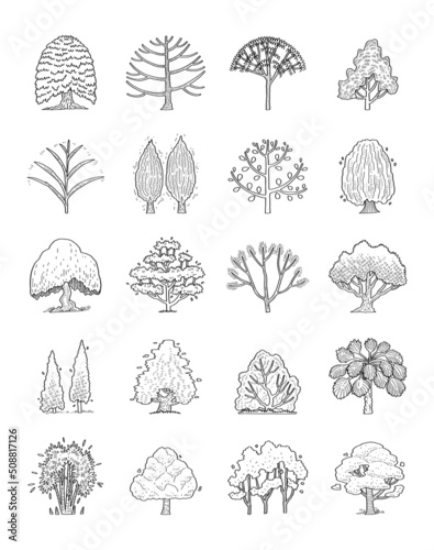 Hand drawn vector set of side view trees.
