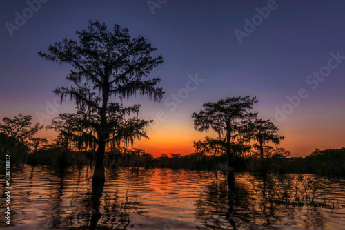 Swamp Sunset photo