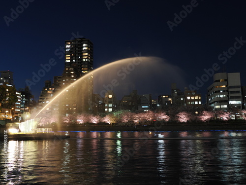 中之島剣先公園の桜と噴水