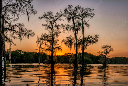 Swamp Sunset