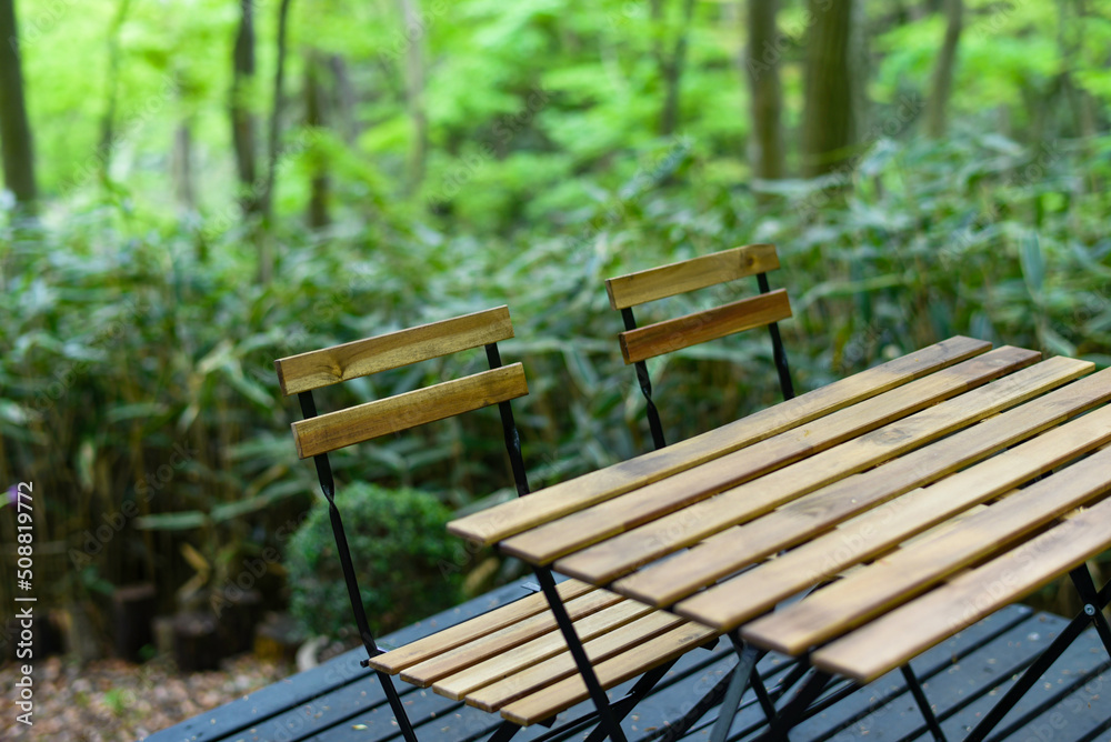 Fototapeta premium 静かな森にある木製のテーブルとイス