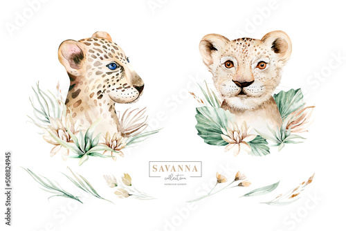 Photography Africa watercolor savanna leopard and lion, animal illustration