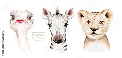 Africa watercolor savanna zebra, ostrich and lion animal. African Safari cute animals portrait character.Perfect for wallpaper print, poster, packaging ,invitation, wedding design
