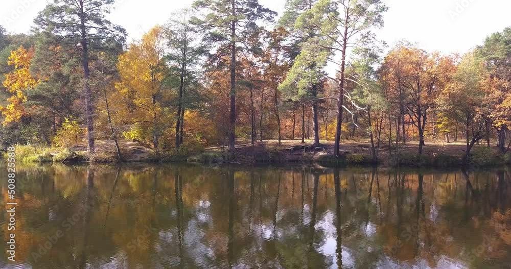 River Near Kiev in Pusha Voditsa old dense forest with tall trees in the fall season. The autumn colors River Near Kiev in Pusha Voditsa old dense forest with tall trees in the fall season. The autumn colors