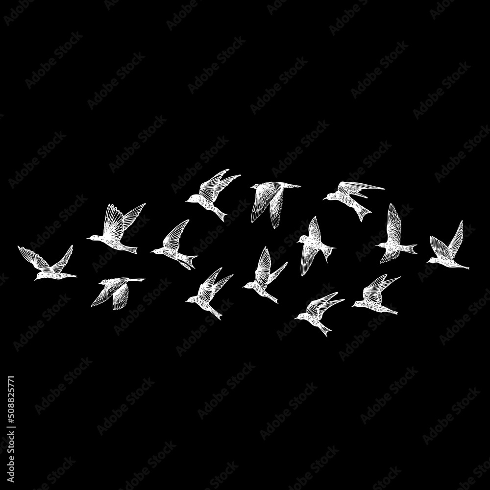 © desertsands - Hand drawn strokes birds, flock. Drawing sketch. On black background. Inspirational body flash tattoo ink.  Vector.