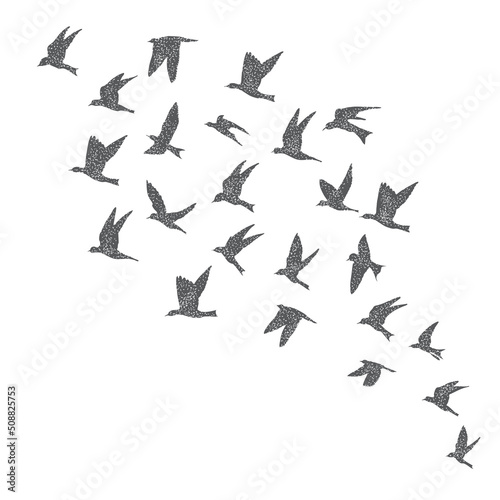Silhouette of city flying birds on white background. Inspirational body flash tattoo ink. Set of textured stipple grey birds fly swallows, hand made. Vector. © desertsands