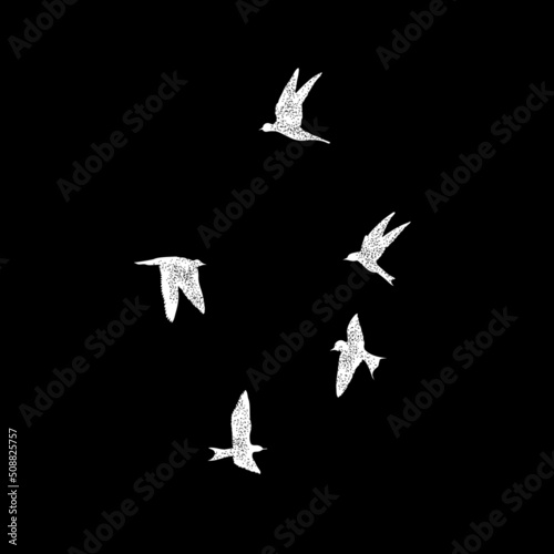 Isolated textured stipple silhouette of white birds flock in the black air Inspirational body flash tattoo ink. Vector.