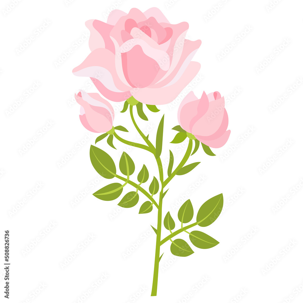 A branch of a pink rose with buds and leaves on a white background. For the design of postcards, stickers, prints, posters. Vector
