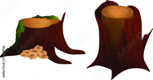 Brown stumps with mushrooms and moss