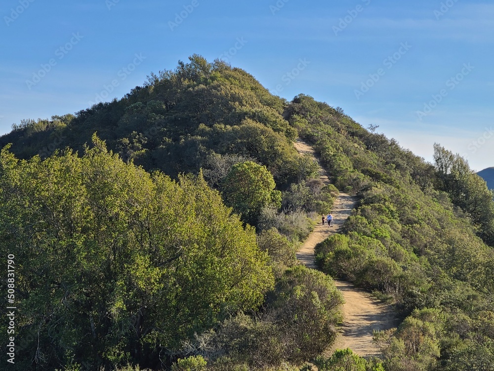 The Las Trampas ridge trail in the wilderness of Northern California The Las Trampas ridge trail in the wilderness of Northern California