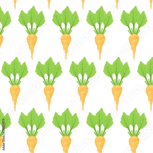 Sugar beet pattern on white background. Seamless background from white beets vector pattern.