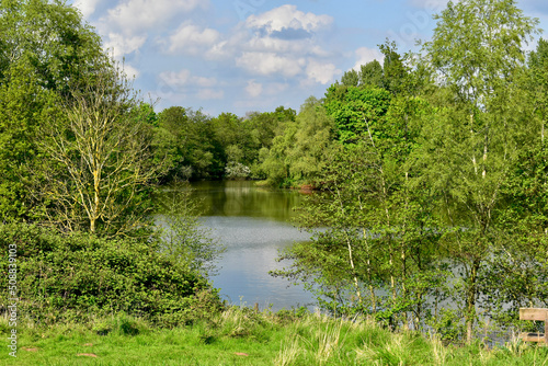 View on the lake surrounded by trees in Ryton Pools County Park, Coventry, West Midlands, England, UK photo