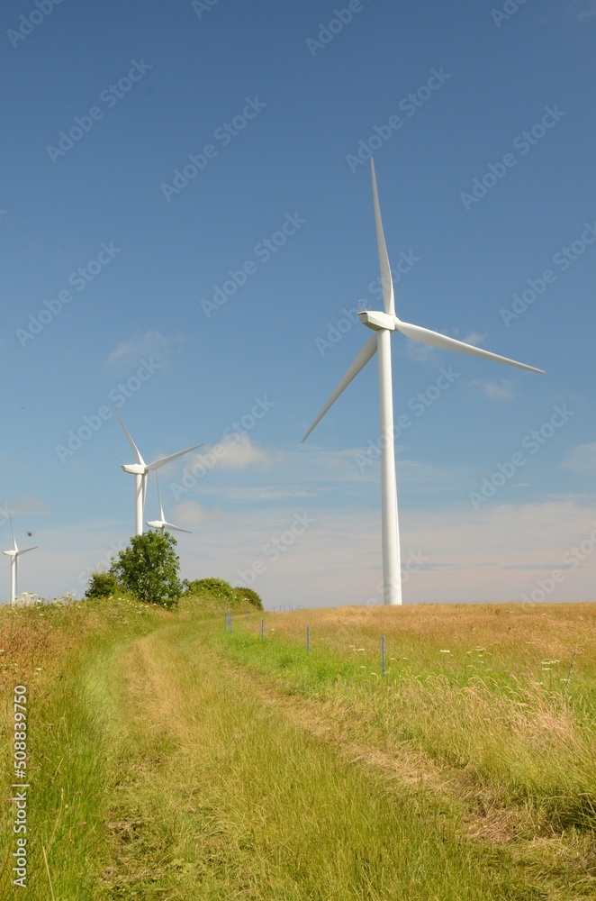 wind turbines, wind farm producing green clean renewable energy wind turbines, wind farm producing green clean renewable energy