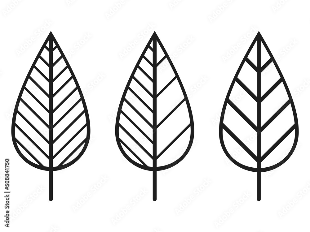 Vector botanical icons set. Contour line leaves bundle isolated. Abstract geometric leaf. Floral design for print, background, banner or card. Ecology symbol, environment concept, eco sign, logo. Vector botanical icons set. Contour line leaves bundle isolated. Abstract geometric leaf. Floral design for print, background, banner or card. Ecology symbol, environment concept, eco sign, logo.