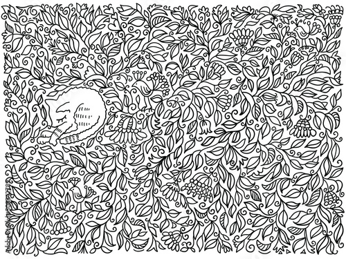 Hand drawn floral decoration background with cute sleeping cat. Vector scetch flowers doodle isolated on white.