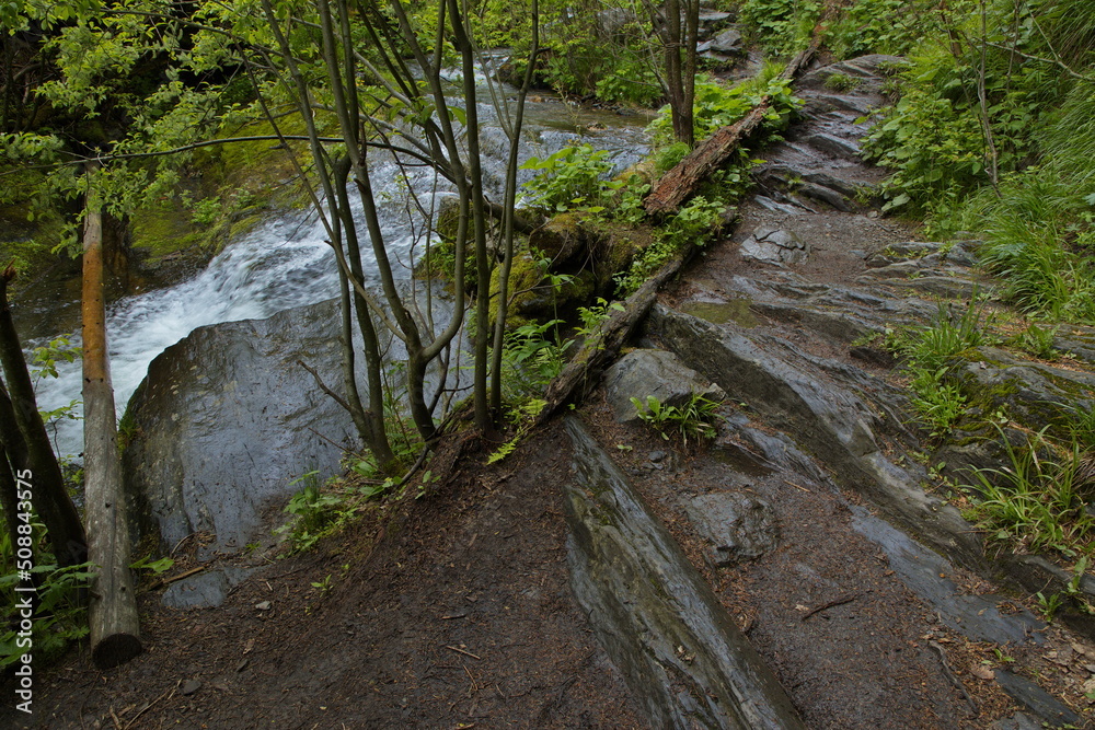 Hiking trail at the river Bila Opava in Jeseniky, Czech Republic, Europe, Central Europe
Hiking trail at the river Bila Opava in Jeseniky, Czech Republic, Europe, Central Europe
