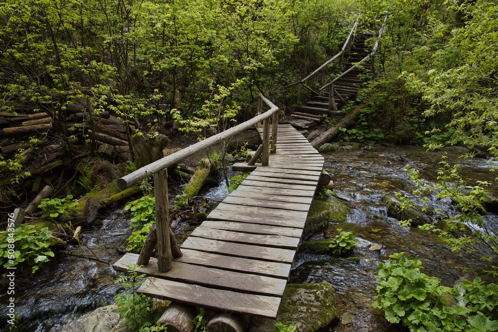 Hiking trail at the river Bila Opava in Jeseniky, Czech Republic, Europe, Central Europe
Hiking trail at the river Bila Opava in Jeseniky, Czech Republic, Europe, Central Europe