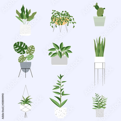Vector illustration set of Plant in pot. Cartoon flat different indoor potted decorative houseplants for interior home or office decoration.