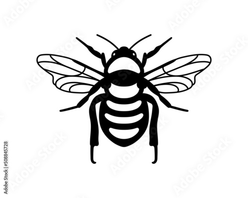 Vector hand drawn illustration of Honey Bee. Isolated black silhouette on white background