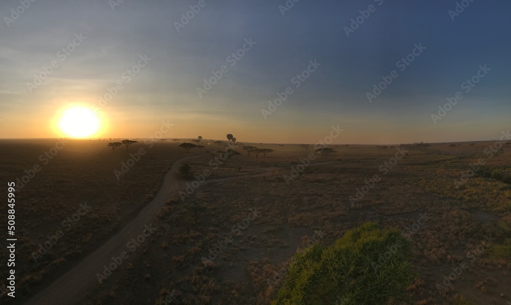 sunrise over the plains of the serengeti