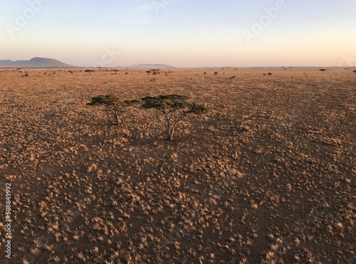 aerial view of a sunrise over the Serengeti plains 