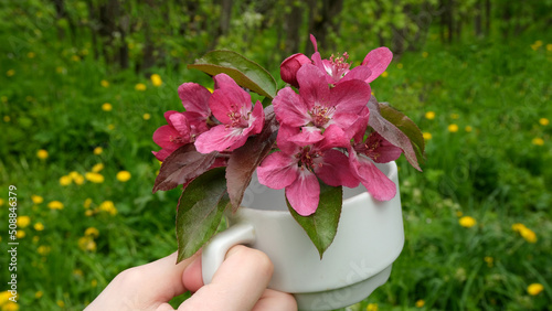 Coffee cup with pink flowers.