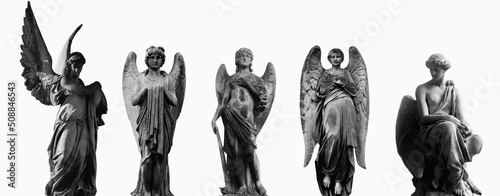 Картината върху платно Angels against white background