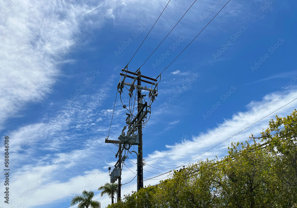 Wooden electricity pylons above trees against blue cloud sky