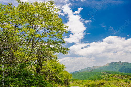 新緑の高ボッチから見る鉢伏山 © kikisora