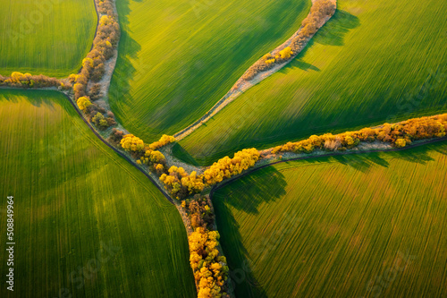 Bird's eye view of abstraction agricultural area and green wavy fields in sunny day.