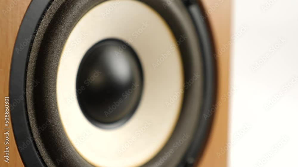 The speaker vibrates to reproduce the sound. Sound technology. The speaker vibrates to reproduce the sound. Sound technology.