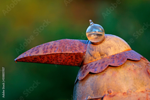 close up of an rusty bird