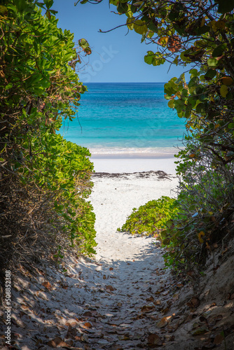 path to pink sands