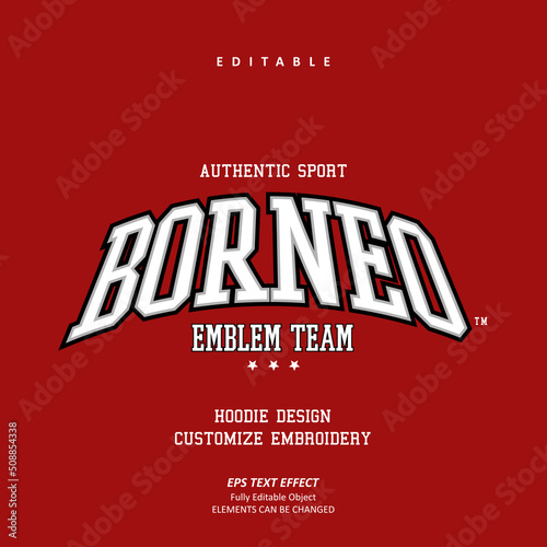 American authentic Hoodie sport Embroidery logo custom text effect editable premium vector