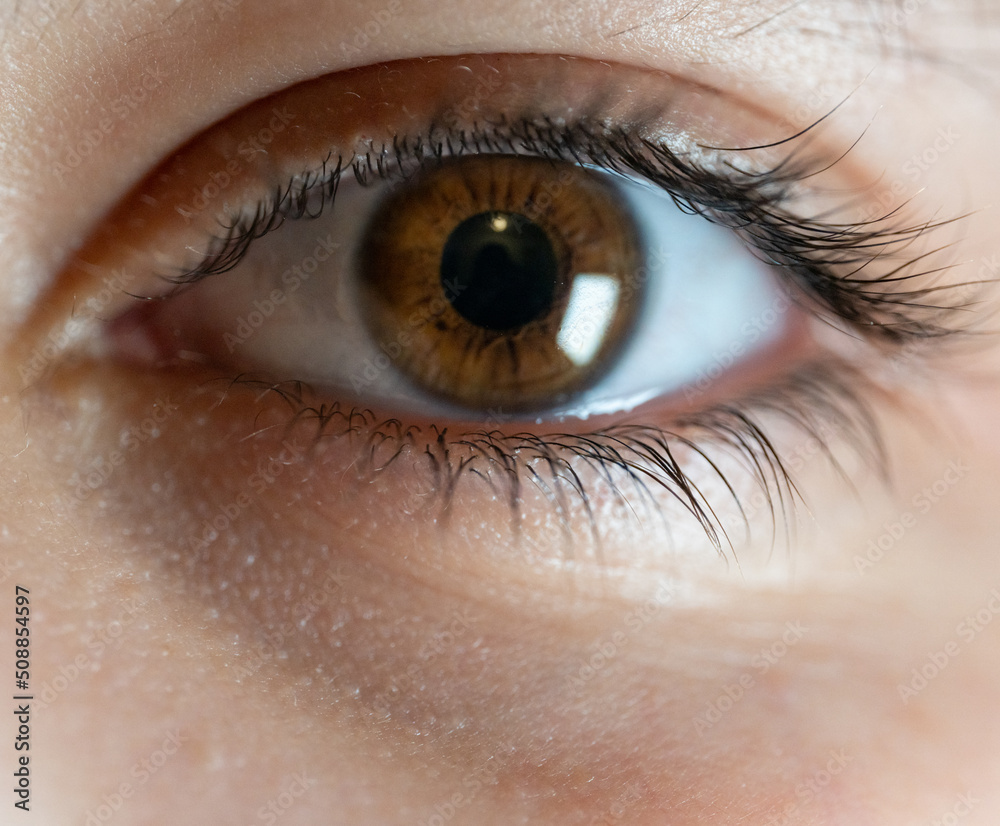 Fototapeta premium close up of a female eye pupil 